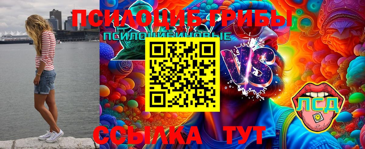 купить наркотик  Галлюциногенные грибы мицелий  Троицк  Вход с VPN  Галлюциногенные грибы Magic Shrooms 